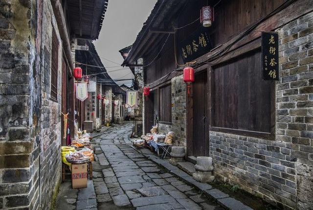 终结者2官方手游